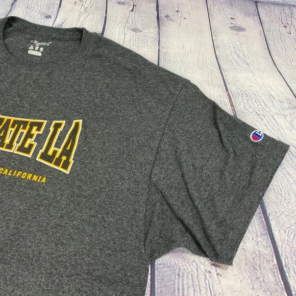 Champion Men's Relaxed Fit Jersey Tshirt Gray Tee - Picture 5 of 8